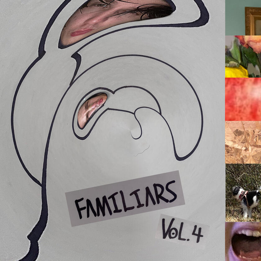 Mr. Polymer Jester He Will Guide You To The Cool Things